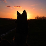 媽祖叫我選打野