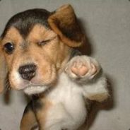 -[.40 cal ]- Slevin * - steam id 76561197964416642