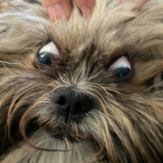 quek - steam id 76561198204834973