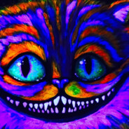 crazy cat