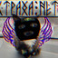 KRIPER