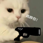 咖啡猫