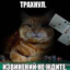 Dmox