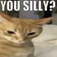 YOU SILLY?