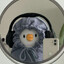 Diddy Duck