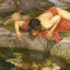 Narcissus