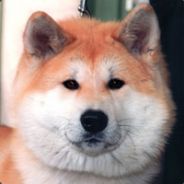 M@gic Eek - steam id 76561197964340468
