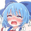 Kawachi_Nya