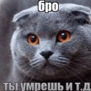 Аватар mrbullgamer⁴²