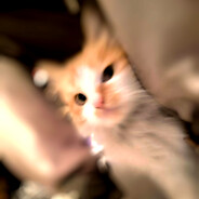 她与残局皆遗憾...