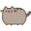 Pusheen