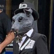 MrRat avatar