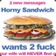 HornySandwich
