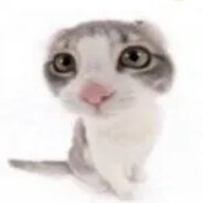 ung