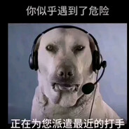 大狗嚼俱乐部魔丸单护