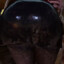 Jane&#039;sBigBootyEnjoyer