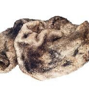 Dirty Rag