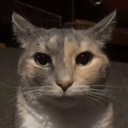 arteq - steam id 76561199138330065