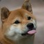 shib