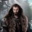 Thorin Oakenshield