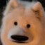 337