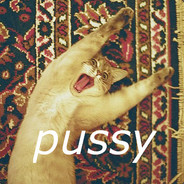 被淹死的阿拉雷