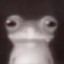 jaaj