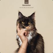 让我想想 - 你已经死了