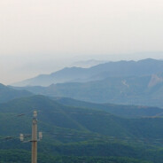 原来是只皮皮虾