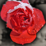 Fanti01Fanti01 | Trading