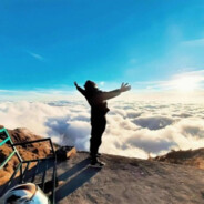 国服顶级自由人