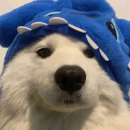 nesto's avatar