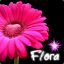 .#Føg | Flora le chat &lt;3