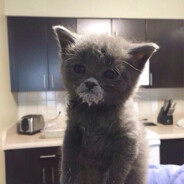 Pat0sick - steam id 76561199818321517