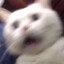 Fwan