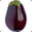 Eggplant
