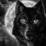 Night Wolf
