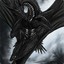 Shadow Dragon