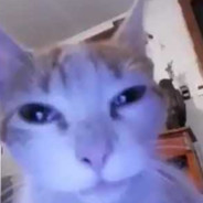 ElCrackxdxd1