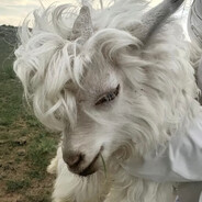 Cyrus