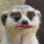 CandyMeerkat