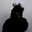 profiles