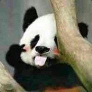 Big Avatar