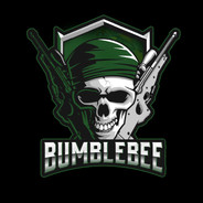☠ Bumblebee ☠ - steam id 76561198143652785