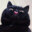 Filou