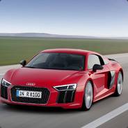 NorwegianBear
