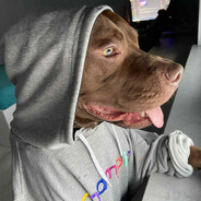 Fabio skins.army - steam id 76561198274750209