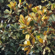 请让我安稳入睡