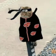 Zhaohua