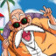 Muten Roshi